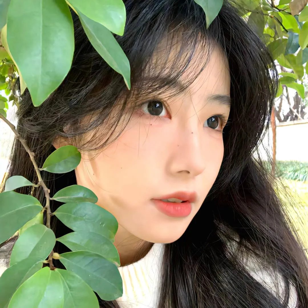 我为太极狂
